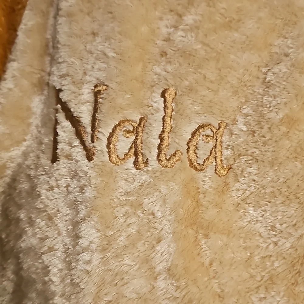 Disney Nala costume from The Lion King